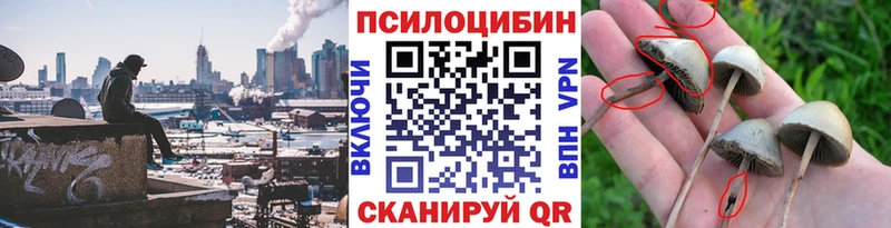 Псилоцибиновые грибы ЛСД  Арамиль 